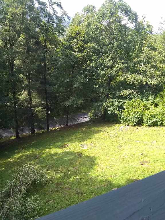 172 Moon Ridge Dr, Sky Valley, GA 30537 - view of green lawn featuring a view of trees