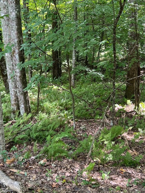 Listing photo 3 for LOT7 Sori Ln, Sapphire NC 28774