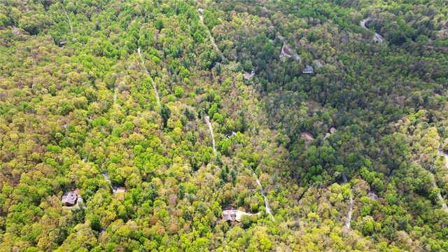 205 Hickory Dr, Sapphire, NC 28774
