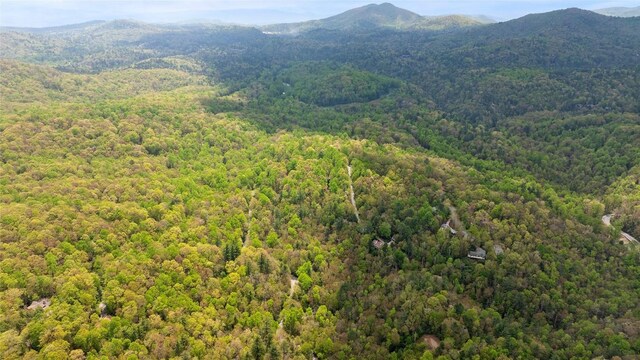 205 Hickory Dr, Sapphire, NC 28774