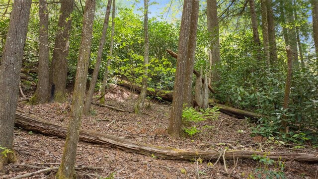 205 Hickory Dr, Sapphire, NC 28774