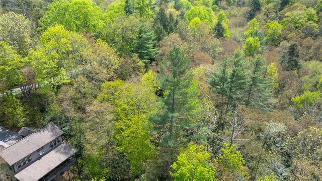205 Hickory Dr, Sapphire, NC 28774