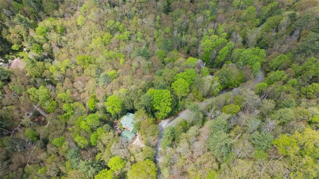 205 Hickory Dr, Sapphire, NC 28774