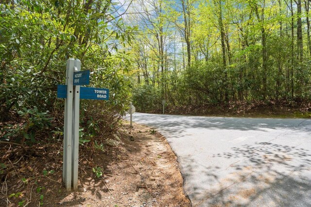 205 Hickory Dr, Sapphire, NC 28774