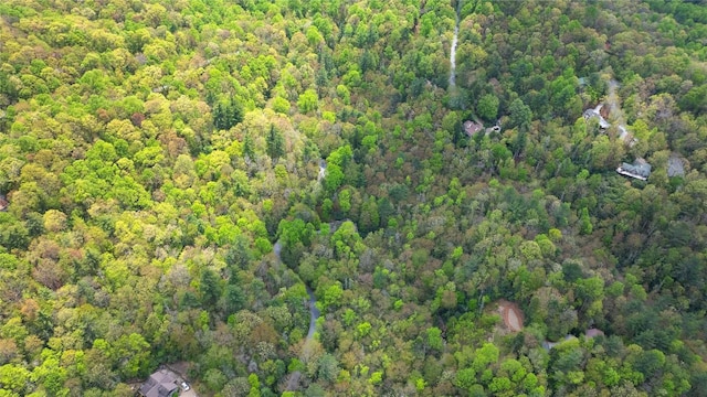 205 Hickory Dr, Sapphire, NC 28774