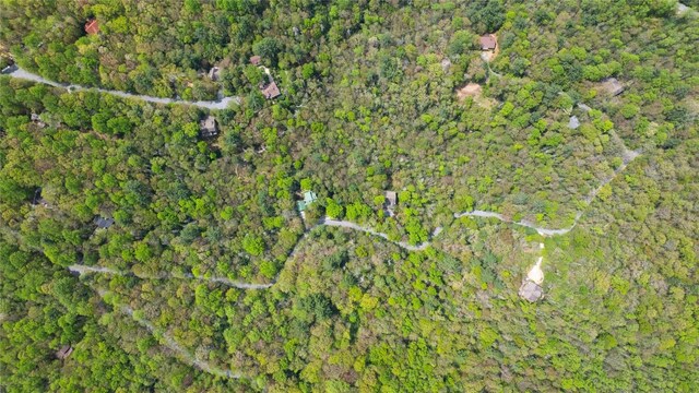 205 Hickory Dr, Sapphire, NC 28774