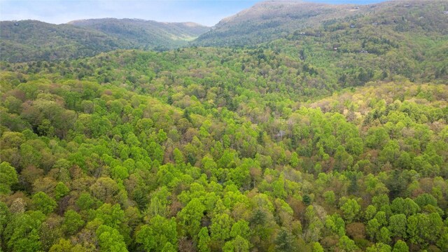 205 Hickory Dr, Sapphire, NC 28774