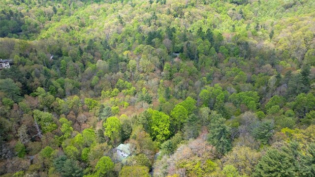 205 Hickory Dr, Sapphire, NC 28774