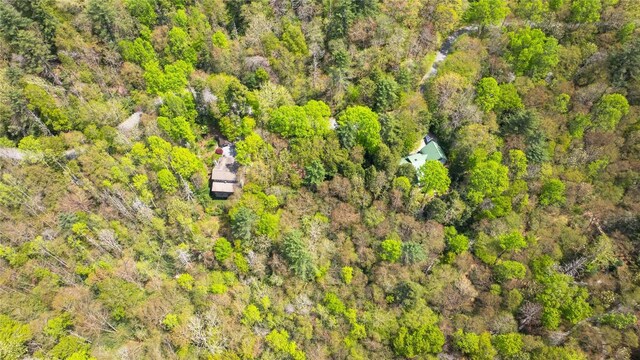 205 Hickory Dr, Sapphire, NC 28774