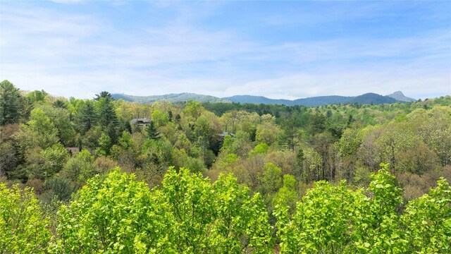 205 Hickory Dr, Sapphire, NC 28774
