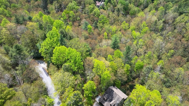 205 Hickory Dr, Sapphire, NC 28774