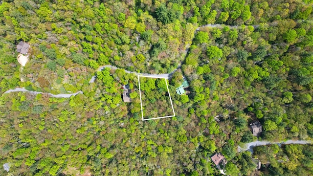 205 Hickory Dr, Sapphire, NC 28774