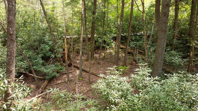 205 Hickory Dr, Sapphire, NC 28774