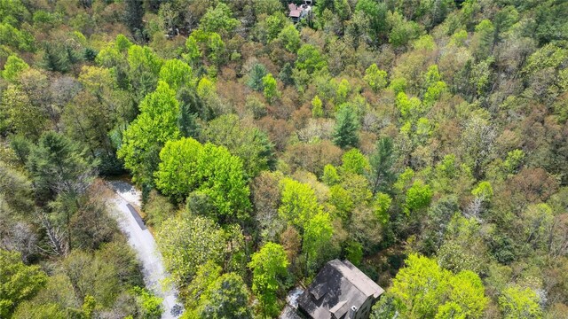 205 Hickory Dr, Sapphire, NC 28774
