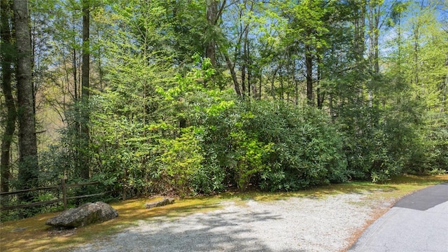 205 Hickory Dr, Sapphire, NC 28774