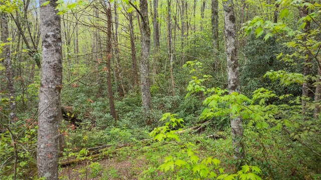 205 Hickory Dr, Sapphire, NC 28774