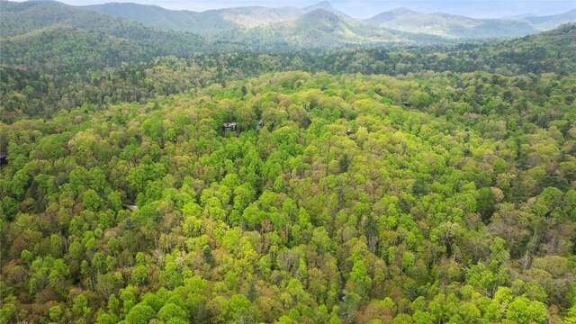 205 Hickory Dr, Sapphire, NC 28774