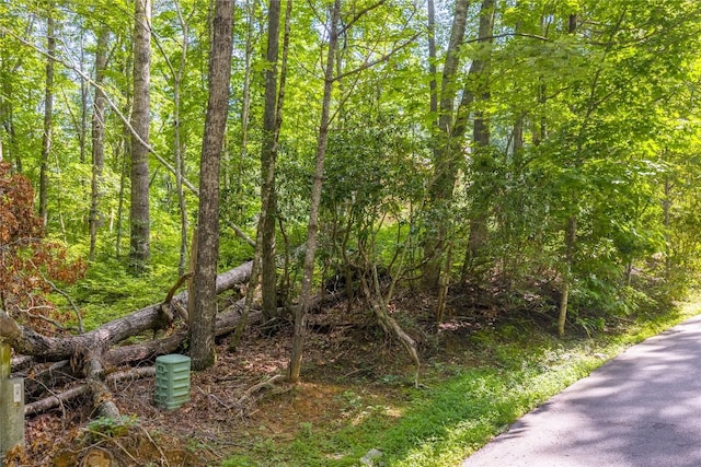LOT4 Laurel Dr, Sapphire, NC 28774 - photo 7
