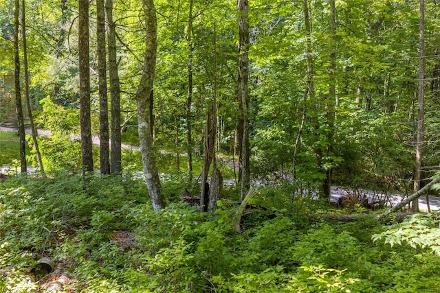 LOT4 Laurel Dr, Sapphire, NC 28774 - photo 17