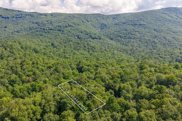 LOT4 Laurel Dr, Sapphire, NC 28774 - photo 20
