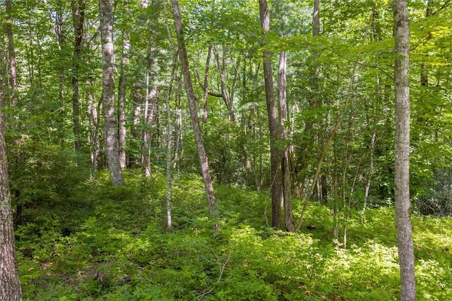 LOT4 Laurel Dr, Sapphire, NC 28774 - photo 16