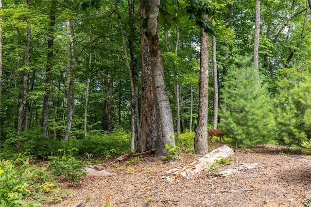 LOT4 Laurel Dr, Sapphire, NC 28774 - photo 2