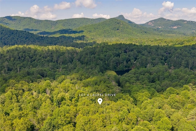 LOT4 Laurel Dr, Sapphire, NC 28774 - photo 26