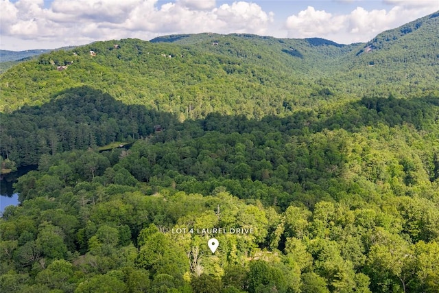 LOT4 Laurel Dr, Sapphire, NC 28774 - photo 29