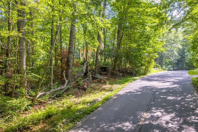 LOT4 Laurel Dr, Sapphire, NC 28774 - photo 6