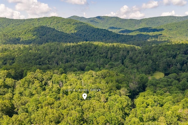 LOT4 Laurel Dr, Sapphire, NC 28774 - photo 25