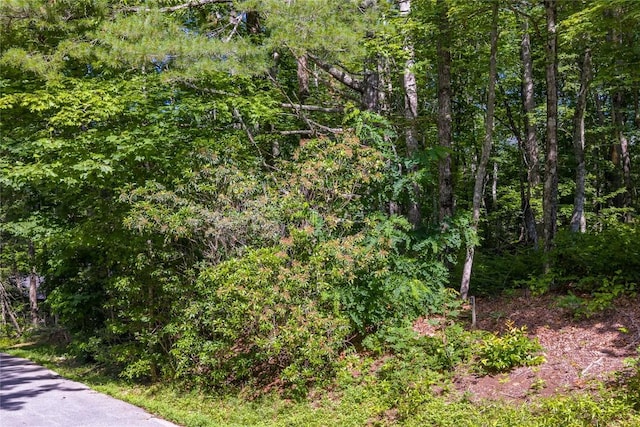 LOT4 Laurel Dr, Sapphire, NC 28774 - photo 11