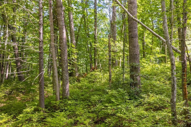 LOT4 Laurel Dr, Sapphire, NC 28774 - photo 8