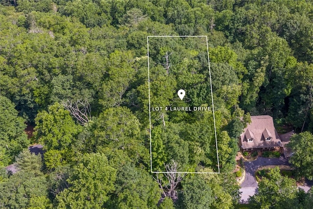 LOT4 Laurel Dr, Sapphire, NC 28774 - photo 18