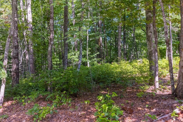 LOT4 Laurel Dr, Sapphire, NC 28774 - photo 13