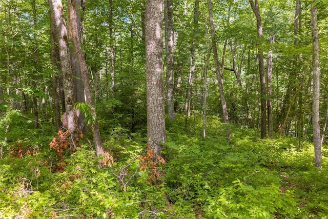 LOT4 Laurel Dr, Sapphire, NC 28774 - photo 15