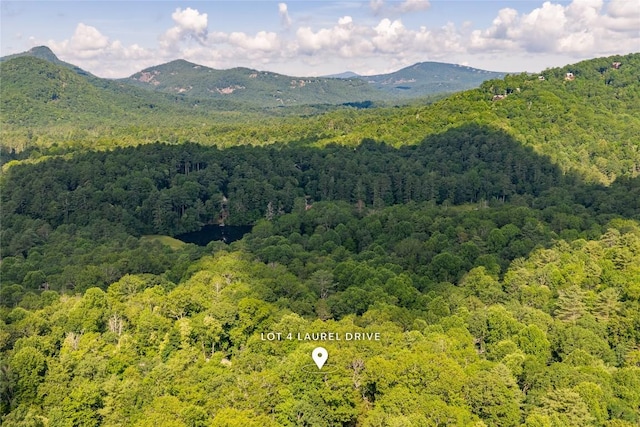 LOT4 Laurel Dr, Sapphire, NC 28774 - photo 27