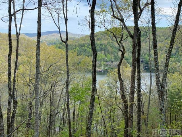 LOT27 Wild Blackberry Rdg, Cullowhee NC, 28723 land for sale