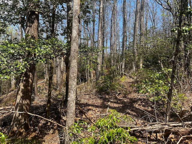 94 Black Oak Dr, Sapphire, NC 28774