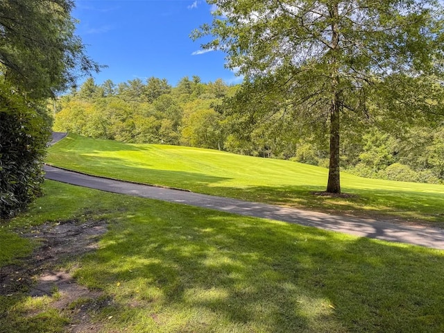 220 Pipers Ct, Highlands, NC 28741 - photo 21