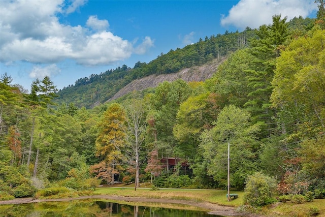 251 Edwards Creek Rd, Highlands, NC 28741 - photo 33