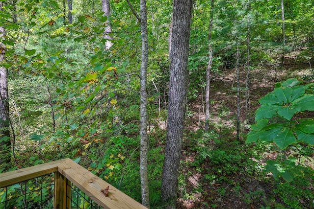 251 Edwards Creek Rd, Highlands, NC 28741 - photo 22
