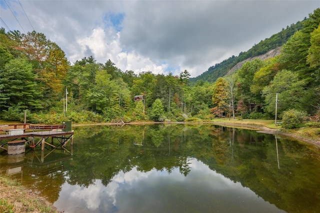 251 Edwards Creek Rd, Highlands, NC 28741 - photo 3