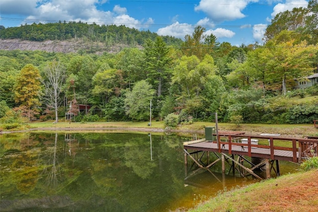 251 Edwards Creek Rd, Highlands, NC 28741 - photo 31