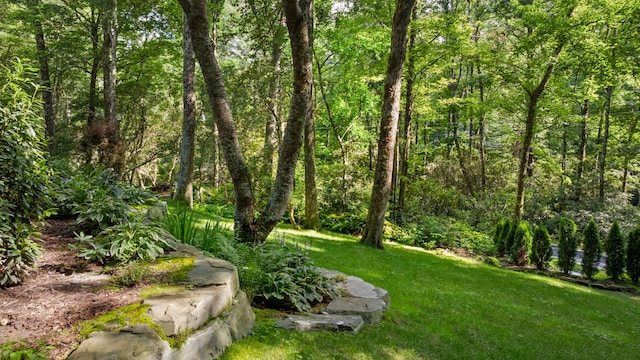 100 Deer Run, Highlands, NC 28741 - photo 38