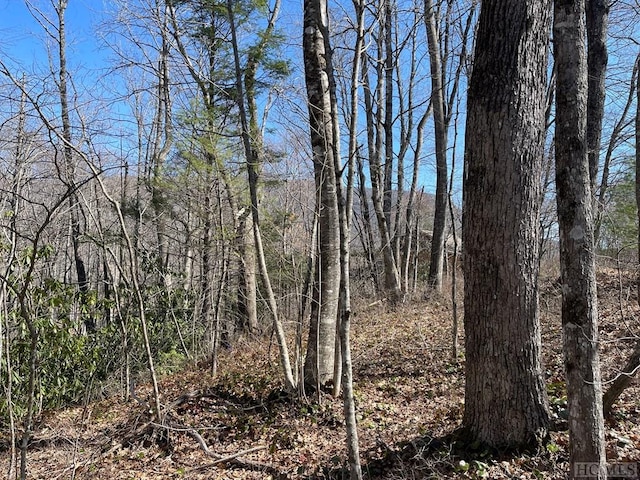 Listing photo 3 for LOT59 Narrows Rd, Sapphire NC 28774