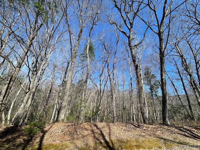 LOT59 Narrows Rd, Sapphire NC, 28774 land for sale