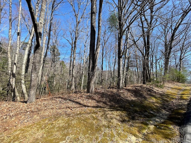 Listing photo 2 for LOT59 Narrows Rd, Sapphire NC 28774