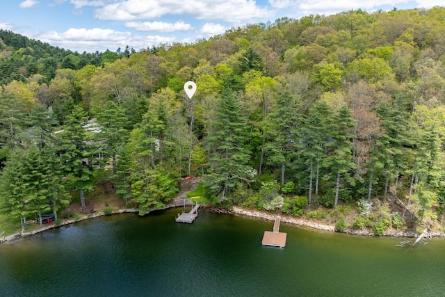 bird's eye view of a forest and a large body of water