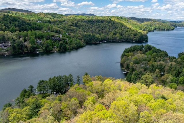 aerial view of a forest and a water and mountain view
