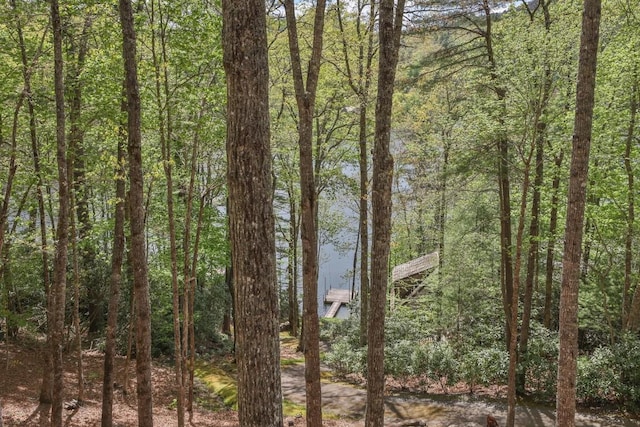 view of woods